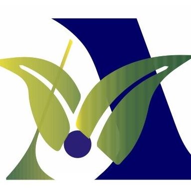 Adeymax Enterprises Limited